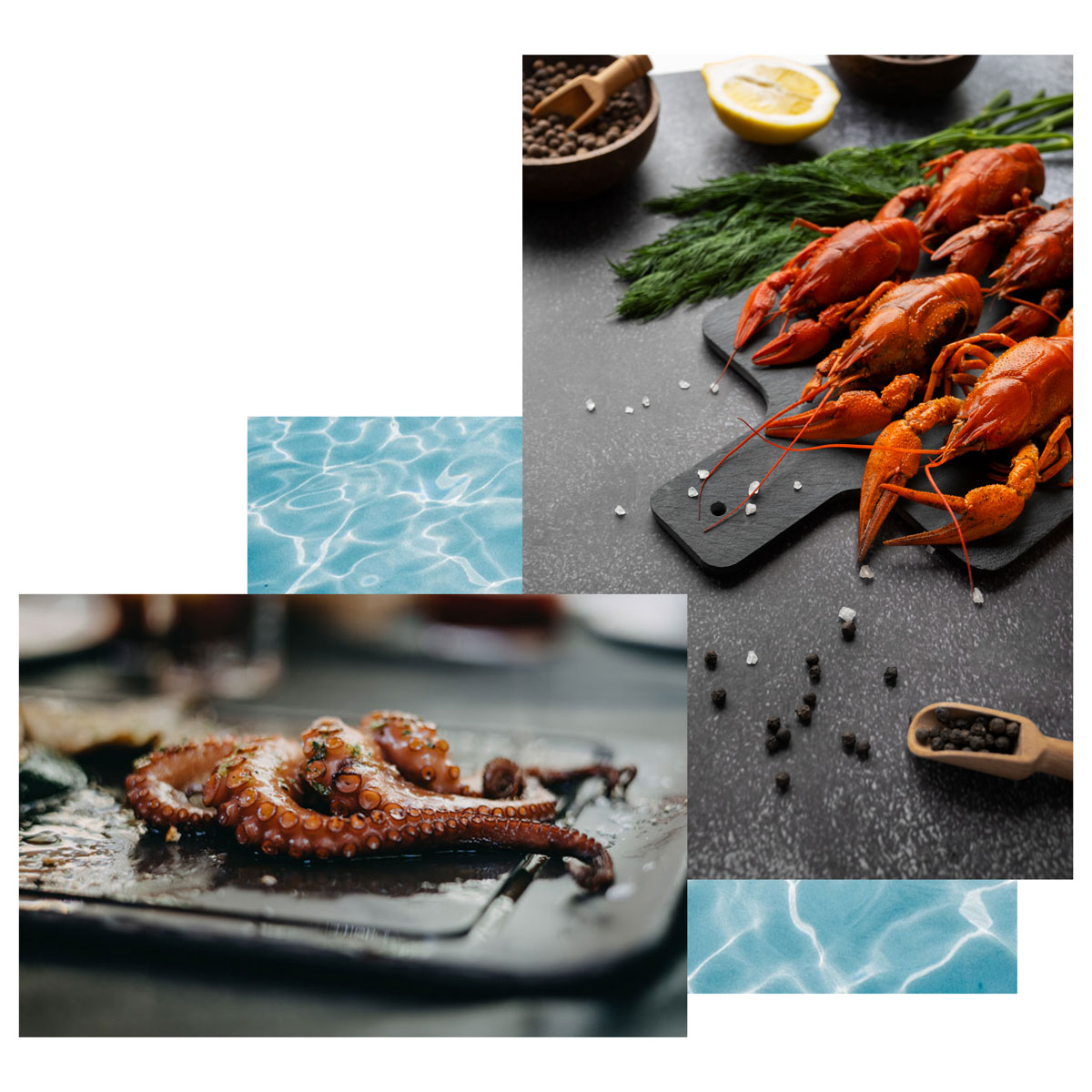 Patas de pulpo y bogavante